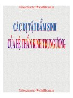 CÁC DỊ TẬT BẨM SINH CỦA HỆ THẦN KINH TRUNG ƯƠNG