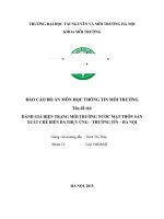 ĐÁNH GIÁ HIỆN TRẠNG môi TRƯỜNG nước mặt THÔN sản XUẤT CHẾ BIẾN DA THỤY ỨNG – THƯỜNG tín – hà nội