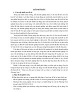 Nâng cao hiệu quả sử dụng vốn tại công ty cổ phần đóng tàu vận tải phương nam  