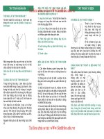 TẬT TINH HOÀN ẨN