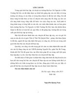 Đánh giá thực trạng  công tác cấp giấy chứng nhận quyền sử dụng đất, quyền sở hữu nhà ở và tài sản khác gắn liền với đất, lập và chỉnh lý hồ sơ địa chính tại phường nguyễn du