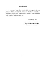 Tổ chức kế toán bán hàng và xác định kết quả kinh doanh tại Xí nghiệp Trung Đô Hoàng Mai – Công ty cổ phần Trung Đô