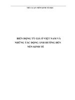 BIẾN ĐỘNG tỷ GIÁ ở VIỆT NAM và NHỮNG tác ĐỘNG ẢNH HƯỞNG đến nền KINH tế 