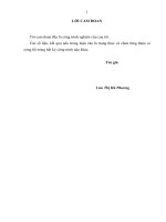 Một số biện pháp phát triển bảo hiểm xã hội tự nguyện tại bảo hiểm xã hội thành phố hải phòng 