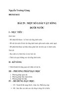 một số động vật sống dưới nước