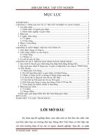 Quy trình giao nhận lô hàng mực và giấy in nhập khẩu tại công ty TNHH dịch vụ tiên phong và khai thác hàng tại kho CFS sao đỏ 