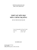 THIẾT kế môn học môn CHỈNH TRỊ SÔNG đề tài TÍNH TOÁN kè cọc hở 