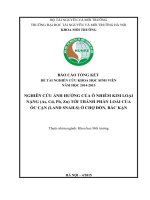 NGHIÊN cứu ẢNH HƯỞNG của ô NHIỄM KIM LOẠI NẶNG (as, cd, pb, zn) tới THÀNH PHẦN LOÀI của ốc cạn (LAND SNAILS) ở CHỢ đồn, bắc kạn