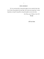 Một số biện pháp hoàn thiện qui trình thông quan tự động tại cục hải quan hải phòng 