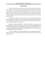 Tiểu luận môn khoa học quản lý nâng cao 