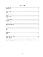 Phát triển Hệ thống thông tin Kế toán Doanh thu bán hàng tại Công ty TNHH Thương mại và Xây dựng Hương Giang