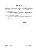 Sự gần đúng của SU trong nghiên cứu hạt cơ bản 