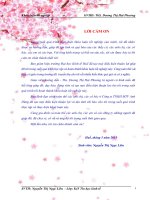 Giải pháp đẩy mạnh hoạt động thương mại điện tử ở công ty TNHH một thành viên anh dũng 