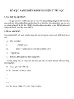 BỐ CỤC SANG KIẾN KINH NGHIỆM TIỂU HỌC