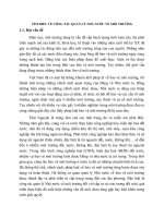 TÌM HIỂU VỀ CÔNG TÁC QUẢN LÝ NHÀ NƯỚC VỀ MÔI TRƯỜNG