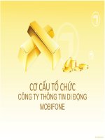 CƠ cấu tổ CHỨC CÔNG TY THÔNG TIN DI ĐỘNG MOBIFONE 