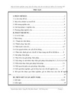 SKKN: Một vài kinh nghiệm cung cấp vốn tiếng việt cho trẻ dân tộc thiểu số ở trường MN