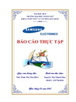 Công ty TNHH samsung electronics việt nam( SEV)  là thành viên của tập đoàn SAM SUNG, hàn quốc, chuyên sản xuất điện thoại di động và các thiết bị điện tử công nghệ cao 