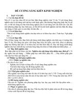 Đề cương sáng kiến kinh nghiệm tiểu học