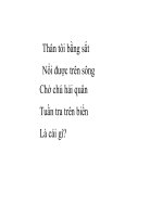 Phương tiện giao thông đường thủy