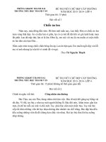 de thi viet chu dep cap truong. TH thanh van