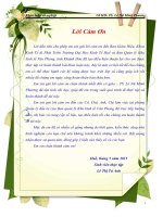 Thực trạng thu hút vốn đầu tư trực tiếp nước ngoài  vào khu kinh tế vân phong giai đoạn 2010  2014 