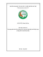 Ứng dụng phần mềm microstationv8i và gcadas thành lập bản đồ hiện trạng sử dụng đất từ bản đồ địa chính 