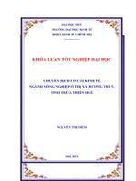 Chuyển dịch cơ cấu kinh tế ngành nông nghiệp ở thị xã hương thủy, tỉnh thừa thiên huế 