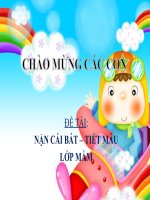 tao hinh nan cai bat - tiet mau - lop mam