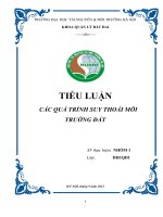 TIểu luận các QUÁ TRÌNH SUY THOÁI môi TRƯỜNG đất 
