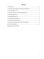 đề cương NCKH điều tra, đánh giá, hiện trạng các hoạt động tái chế nhựa phế liệu của làng nghề triều khúc 