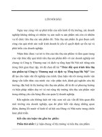 Thúc đẩy quá trình tiêu thụ sản phẩm tại công ty thương mại và dịch vụ tổng hợp hà nội 