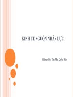 KINH TẾ NGUỒN NHÂN LỰC    THẦY MAI QUỐC BẢO KTQD