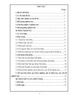 SKKN: một số giải pháp giúp học sinh lớp 6 khắc phục lỗi chính tả