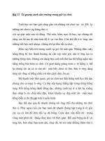 Tả quang cảnh sân trường trong giờ ra chơi