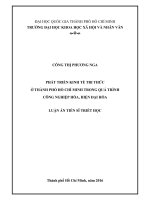 Phát triển kinh tế tri thức ở thành phố hồ chí minh trong quá trình công nghiệp hóa, hiện đại hóa 