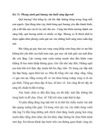 Em hãy tả Phong cảnh quê hương vào buổi sáng đẹp trời
