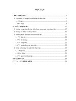 Công ty TNHH samsung electronics việt nam (SEV), có trụ sở tại KCN yên phong i, xã yên trung, huyện yên phong, tỉnh bắc ninh, chuyên sản xuất điện thoại di động, máy hút bụi, máy tính bảng và các linh kiện điện tử quan trọng khác 