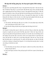 Tiểu luận bài tập tình huống giảng dạy cho lớp ngoài ngành (môi trường) 