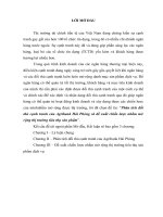 Phân tích đối thủ cạnh tranh của agribank hải phòng và đề xuất chiến lược nhằm mở rộng thị trường tiêu thụ sản phẩm 