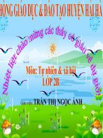 Bài 27. Loài vật sống ở đâu?