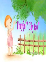 truyen cay tao