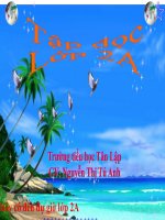 Tuần 21. Chim sơn ca và bông cúc trắng