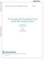 On the Sustainable Development Goals and the Role of Islamic Finance