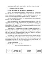 THỰC TRẠNG Ô NHIỄM MÔI TRƯỜNG TẠI LÀNG NGHỀ ĐỒNG KỴ