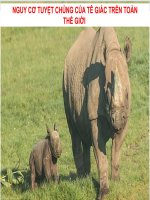 Presentation: NGUY CƠ TUYỆT CHỦNG CỦA TÊ GIÁC TRÊN TOÀN THẾ GIỚI