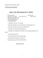 báo cáo kế hoạch cá nhân thcs