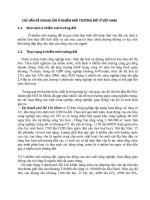 CÁC VẤN ĐỀ CHUNG GÂY Ô NHIẾM MÔI TRƯỜNG ĐẤT Ở VIỆT NAM