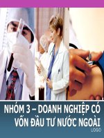 Thuyết trình tiểu luận môn nguyên lý tổ chức nguyên lý tổ chức bộ máy quản lý trong doanh nghiệp có vốn đầu tư nước ngoài FDI 