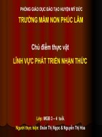 Tim hiểu một số loại hoa